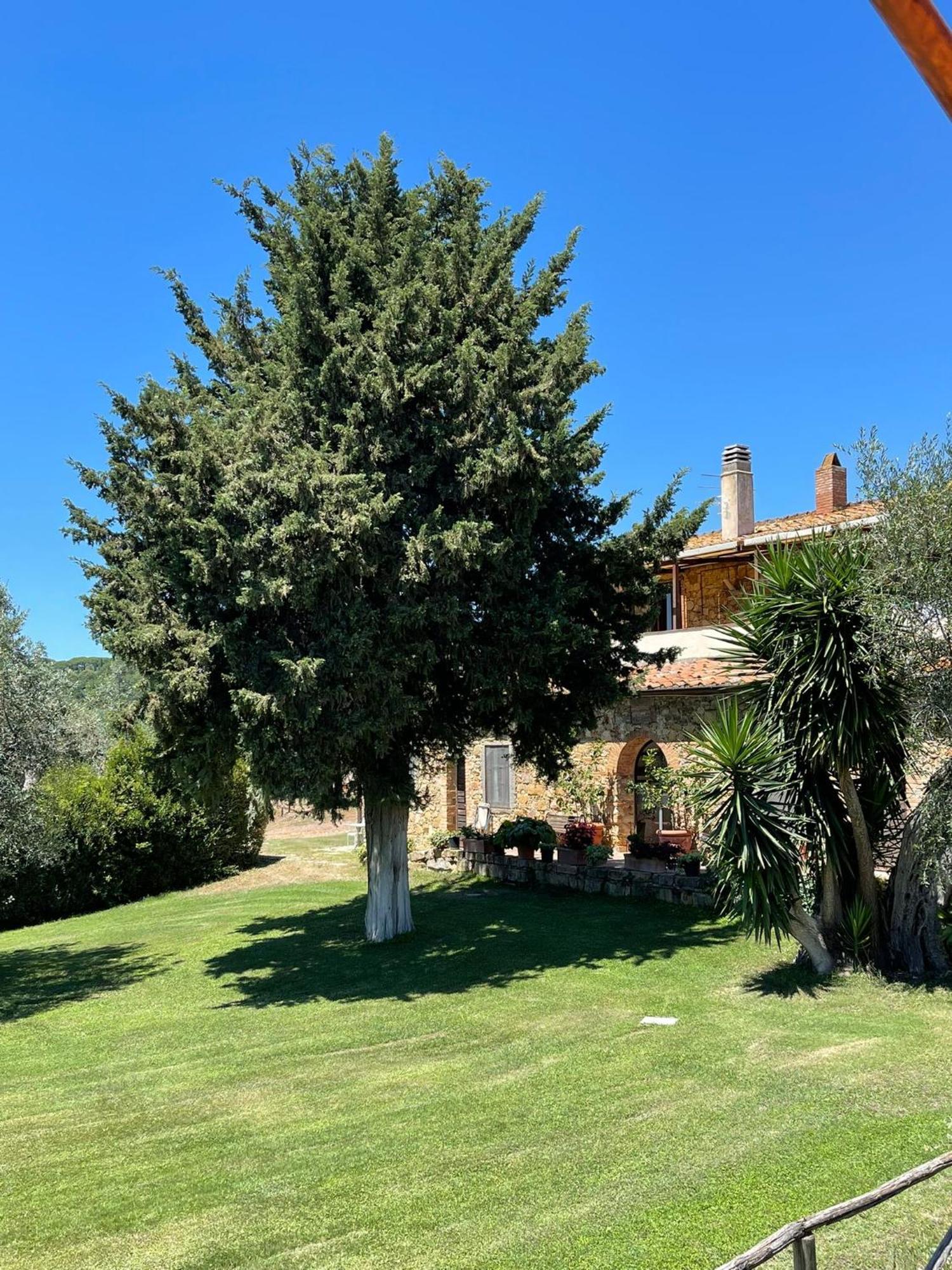 Tenuta Campospillo Magliano in Toscana Exterior foto