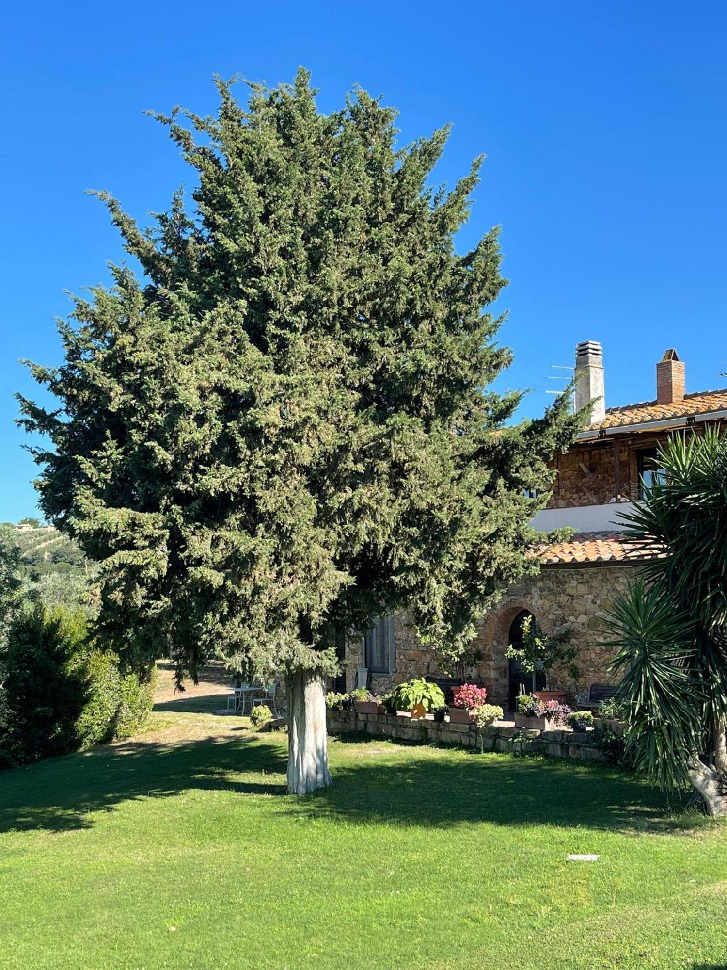 Tenuta Campospillo Magliano in Toscana Exterior foto