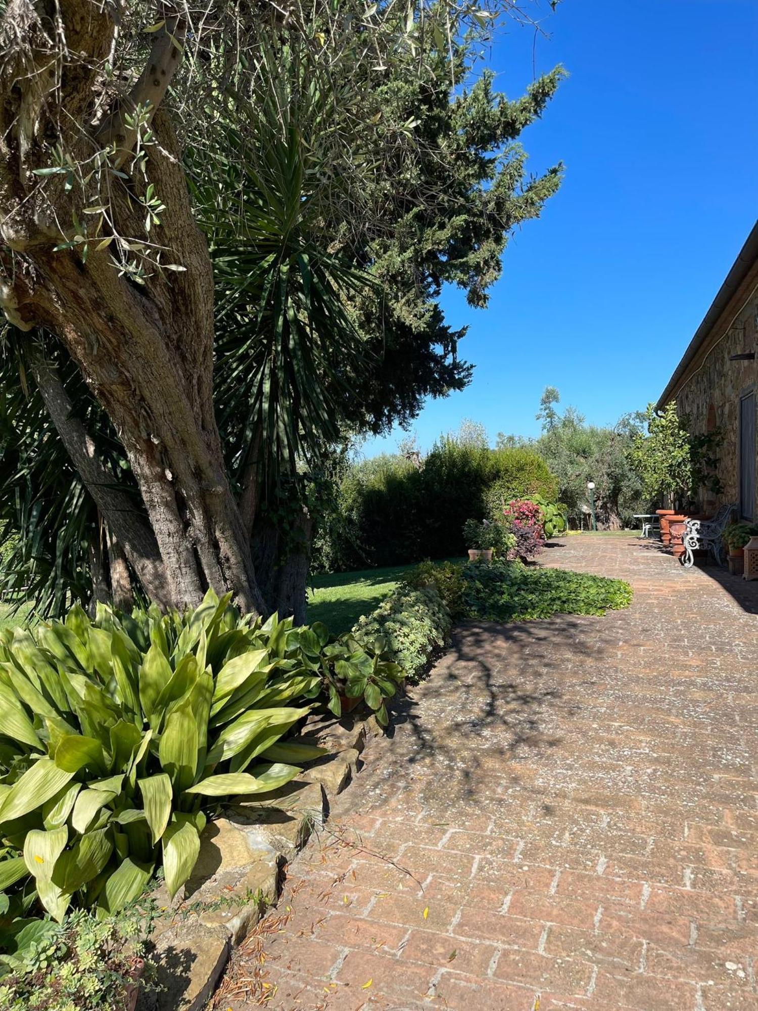 Tenuta Campospillo Magliano in Toscana Exterior foto